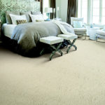 Carpet in Miami Lakes